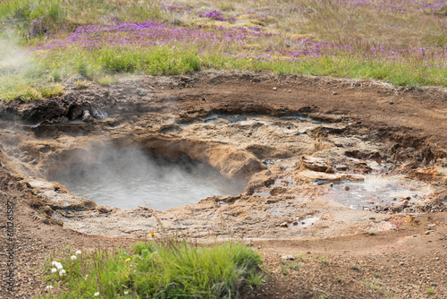 Less spectacular small Geysir in the geothermal valley in South Iceland on the popular Golden Circle route