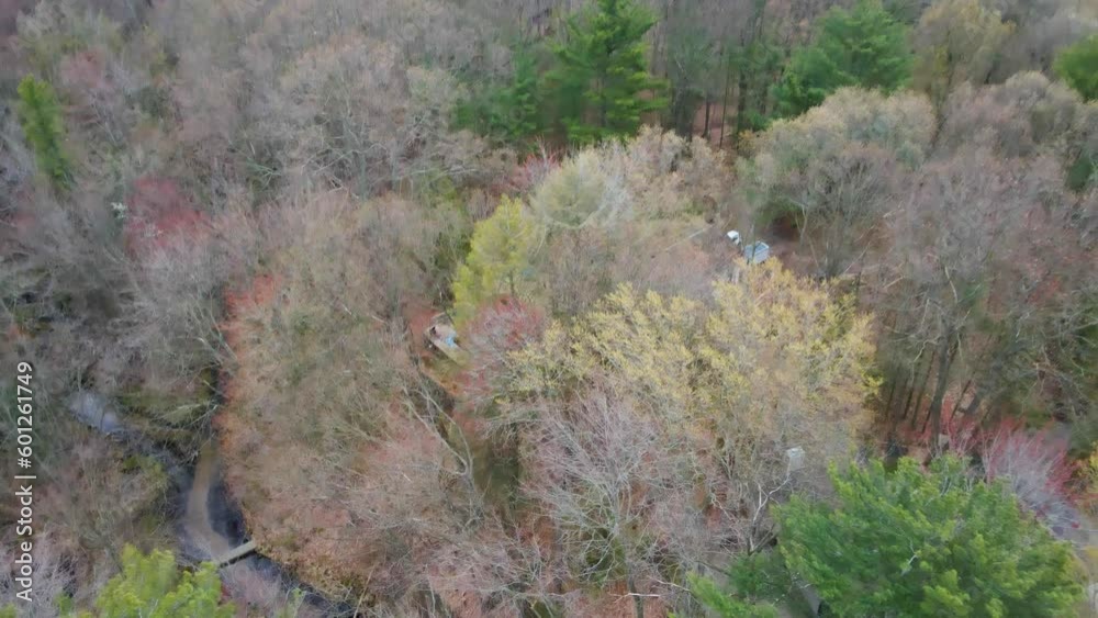 Local woods hiding a small creek as seen from the air. Local woods hiding a small creek as seen from the air.