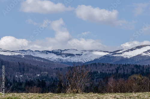 Fototapeta Naklejka Na Ścianę i Meble -  Torfowisko wysokie Tarnawa Górna Bieszczady widok na połoniny 