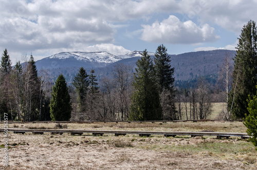 Fototapeta Naklejka Na Ścianę i Meble -  Torfowisko wysokie Tarnawa Górna Bieszczady ścieżka 