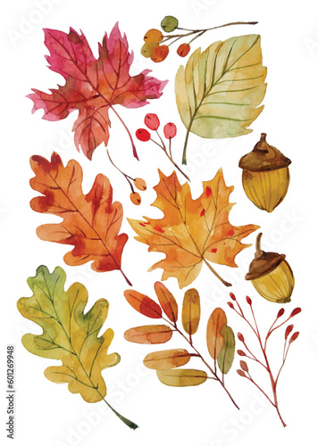 autumn watercolor elements clipart on isolated background