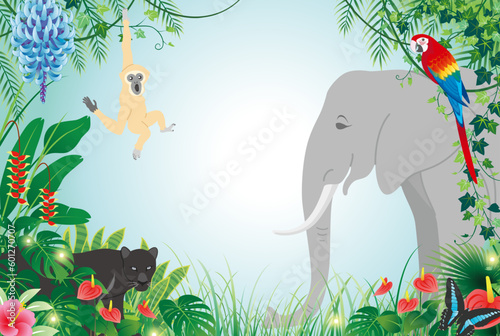ジャングルに暮らす動物たち
