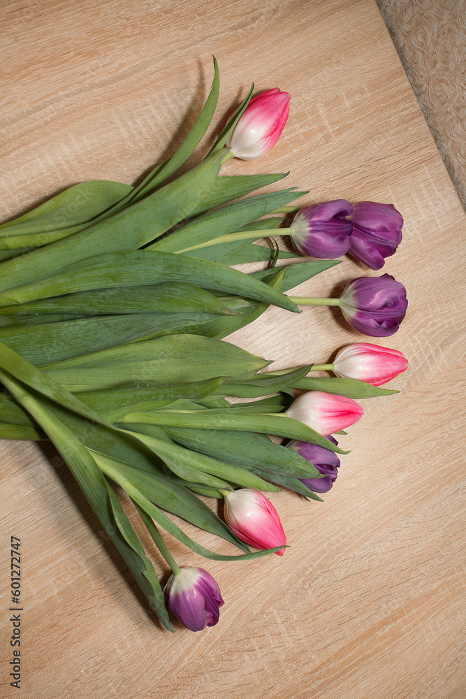 Lots of beautiful fresh purple and pink tulips lie on a brown wooden table. Image for your creative design or illustrations. Lots of beautiful fresh purple and pink tulips lie on a brown wooden table. Image for your creative design or illustrations.