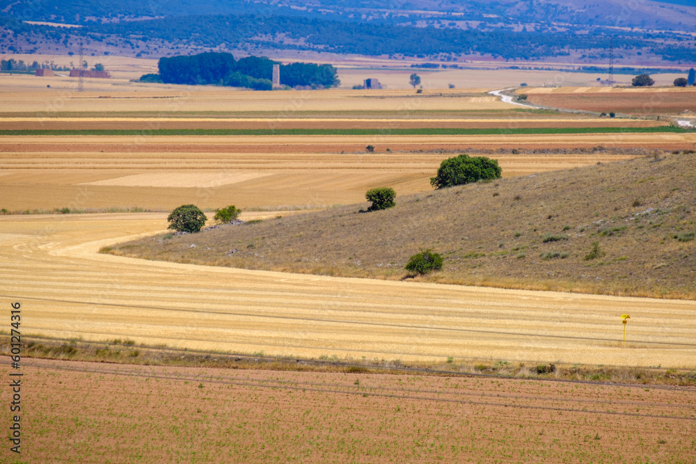 Field with cultivation, mainly cereals and fallow fields, in the province of Soria, in the interior of Spain.