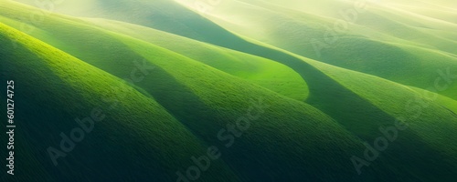 美しくエコフレンドリーなイメージの緑の風景