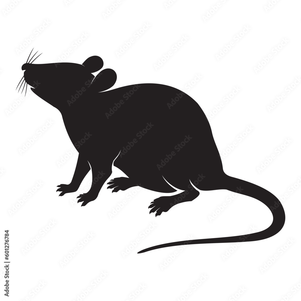 Fototapeta premium silhouette of a mouse