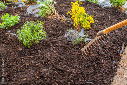Fotografie Installing weed control fabric material and bark mulch in a residential garden t