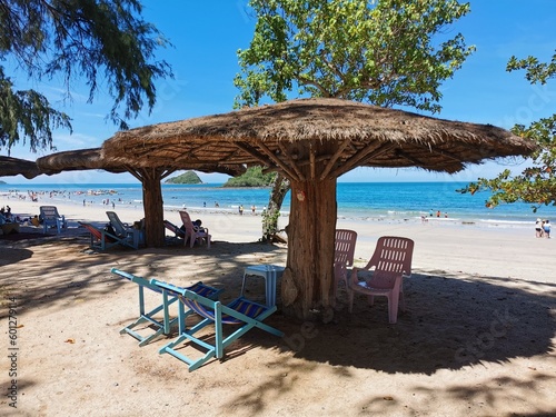 beach chairs and umbrellas on the beach