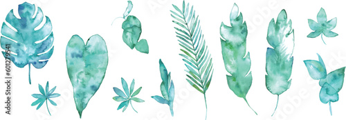 水彩画。水彩タッチの緑の南国植物。南国風葉っぱベクターイラスト。Watercolor painting. Green tropical plants with watercolor touch. Tropical style leaf vector illustration.