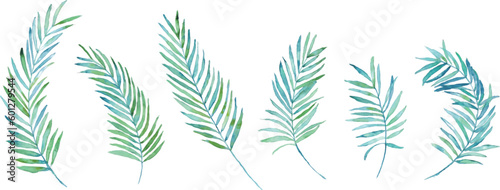 水彩画。水彩タッチの緑の南国植物。南国風葉っぱベクターイラスト。Watercolor painting. Green tropical plants with watercolor touch. Tropical style leaf vector illustration.
