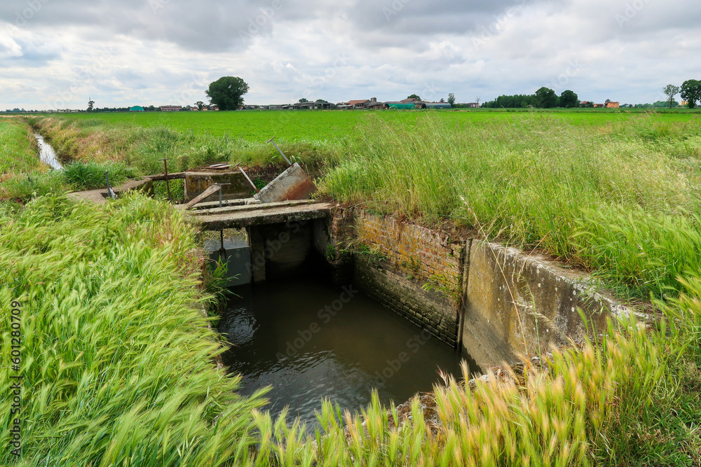 Po Valley landscape field cultivation nature natural agriculture farmhouse tree earth Po Valley landscape field cultivation nature natural agriculture farmhouse tree earth