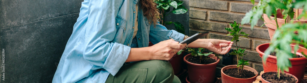Unrecognizable woman checking plants of urban garden on terrace of residential apartment while holding digital tablet in her hand
