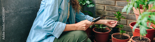 Unrecognizable woman checking plants of urban garden on terrace of residential apartment while holding digital tablet in her hand