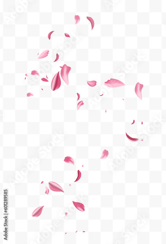 Beautiful Rose Blur Vector Transparent