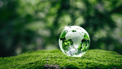 Crystal earth on ferns in green grass forest with sunlight. Environment, save the World, earth day, ecology, and Conservation Concepts..