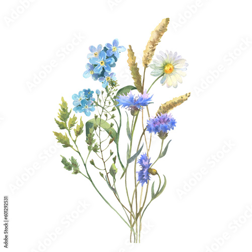 Fototapeta Naklejka Na Ścianę i Meble -  Watercolor meadow flowers bouquet of chamomile, cow parsley, Blue Cornflower herb. Hand painted floral poster of wildflowers isolated on white background.