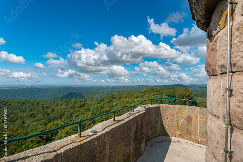 Blick vom Luitpoldturm bei Merzalben über den Pfälzerwald, Region Pfalz im Bundesland Rheinland-Pfalz in Deutschland