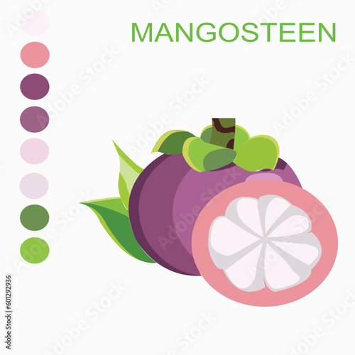 Manngo Illustration Vector Art photo