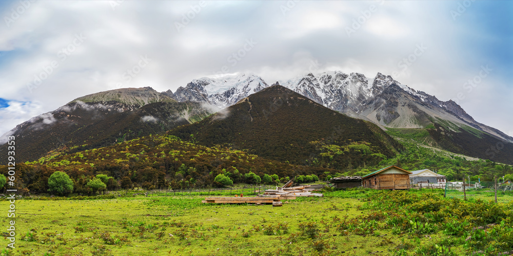 Beautiful Plateau Pasture and Meili Snow Mountain in Linzhi City, Tibet Autonomous Region, China