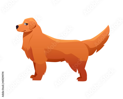 Golden Retriever Dog Breed. Vector Illustration in Cartoon Style. Cute Dog Character.