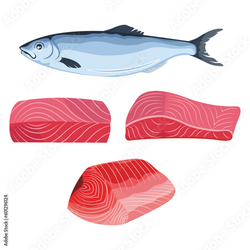 Vector illustration of fresh raw salmon, trout, tuna fillet. Fresh delicious seafood meat cartoon drawing for digital resources.
