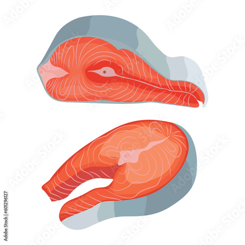 Vector illustration of fresh raw salmon, trout, tuna fillet. Fresh delicious seafood meat cartoon drawing for digital resources.