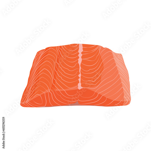 Vector illustration of fresh raw salmon, trout, tuna fillet. Fresh delicious seafood meat cartoon drawing for digital resources.