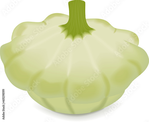 White Patty Pan squash or Scallop or Scallopini squash. Summer squash. Cucurbita pepo. Fresh, organic, raw fruits and vegetables. Vector illustration isolated on white background.