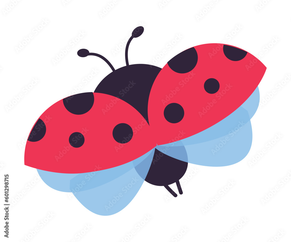Fototapeta premium View from above of of cute flying ladybug insect cartoon vector illustration