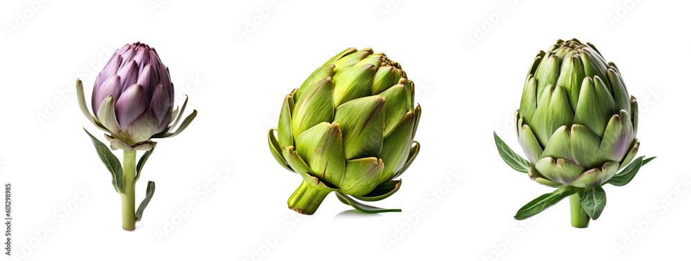 Fresh artichoke, isolated on a white background, generative AI
Fresh artichoke, isolated on a white background, generative AI