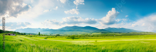 summer panorama of the field and the blue sky in the mountains. High quality Generative AI © NeuroSky