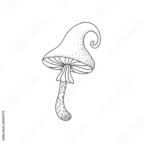 Illustration of autumn forest mushrooms. Botanical illustration. Witch mushrooms for Halloween. Graphic vintage doodle illustration.