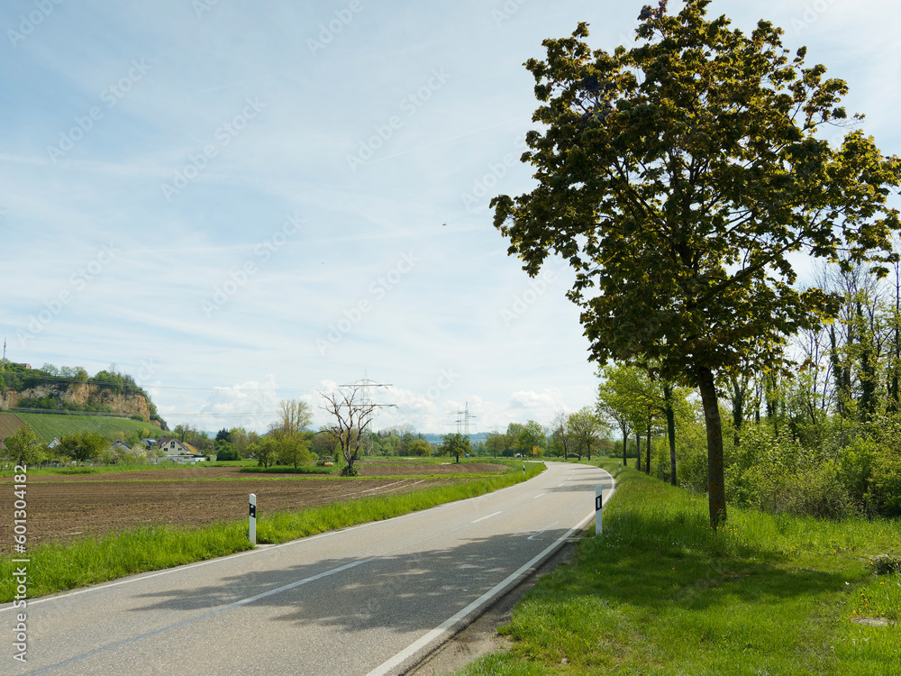Landstraße 137, Niedertrasse entlang Totengrien und Auenwälder, südlich des Ortsteils Istein richtung Efringen-Kirchen, Lörrach, Weil-am-Rhein und Basel
Landstraße 137, Niedertrasse entlang Totengrien und Auenwälder, südlich des Ortsteils Istein richtung Efringen-Kirchen, Lörrach, Weil-am-Rhein und Basel