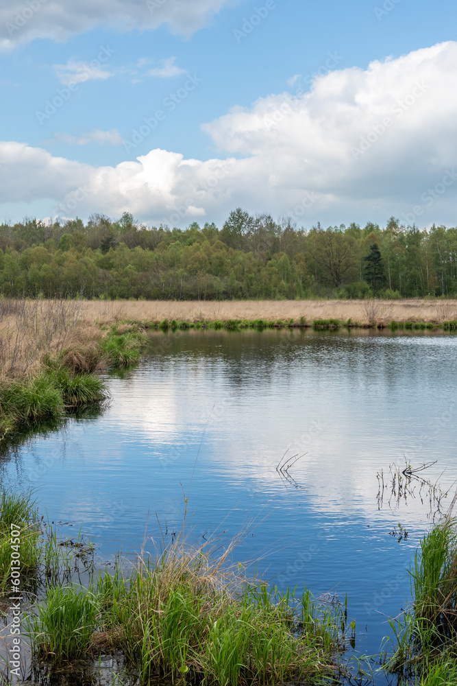 Bog Grosses Torfmoor in Germany. Bog Grosses Torfmoor in Germany.