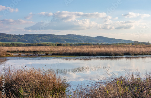 Bog  Grosses Torfmoor in Germany. © wlad074