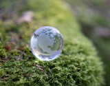 Crystal lens ball in forest