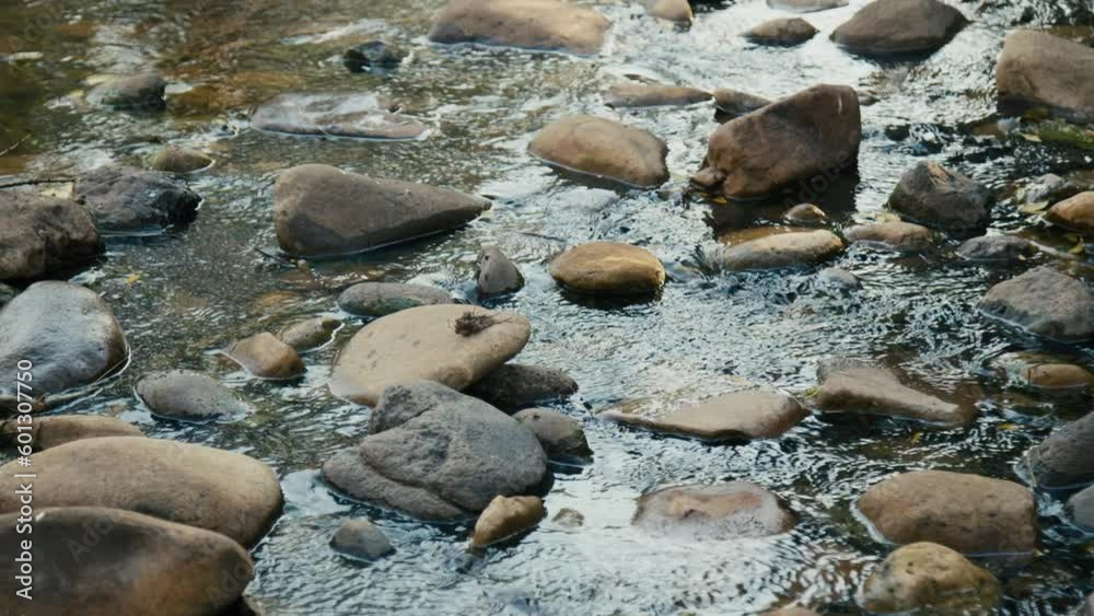Water river flowing through rocks Water river flowing through rocks