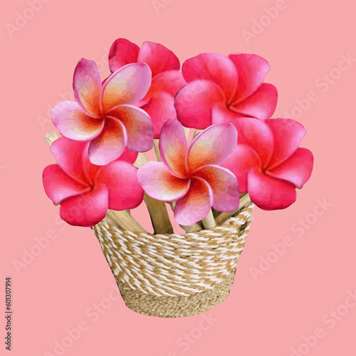 Vector illustration of frangipani flower in a wicker basket of natural material