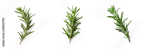 A fragrant green Rosemary sprig sits on a perfect white setting  created by Generative AI