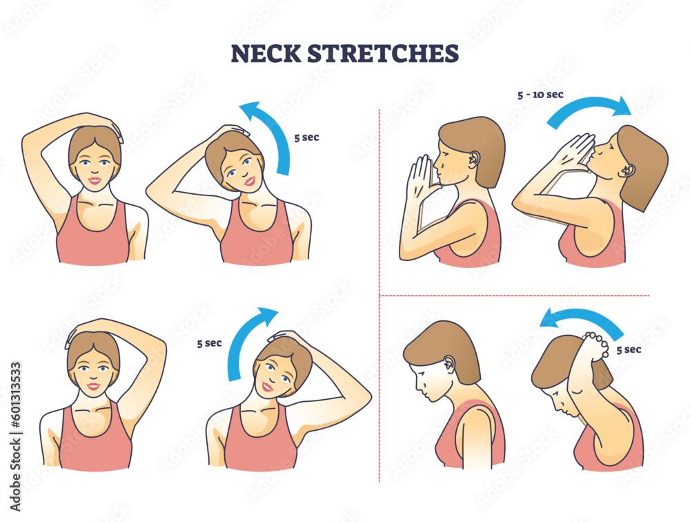 Neck stretches instructions for correct head and shoulder posture outline diagram. Labeled educational physical rotation, pulling and bending activity for muscle relief after work vector illustration Neck stretches instructions for correct head and shoulder posture outline diagram. Labeled educational physical rotation, pulling and bending activity for muscle relief after work vector illustration