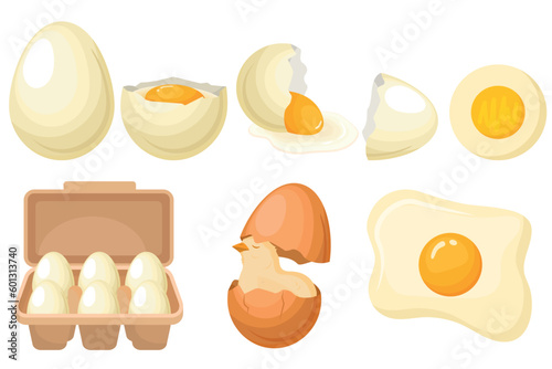 Vector set of farm eggs. The concept of cooking and fresh food. Chicken yolk and protein. A beautiful element for your design.