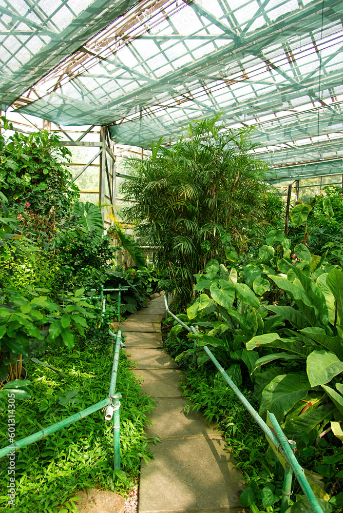 Beautiful vintage greenhouse in the park with tropical plants