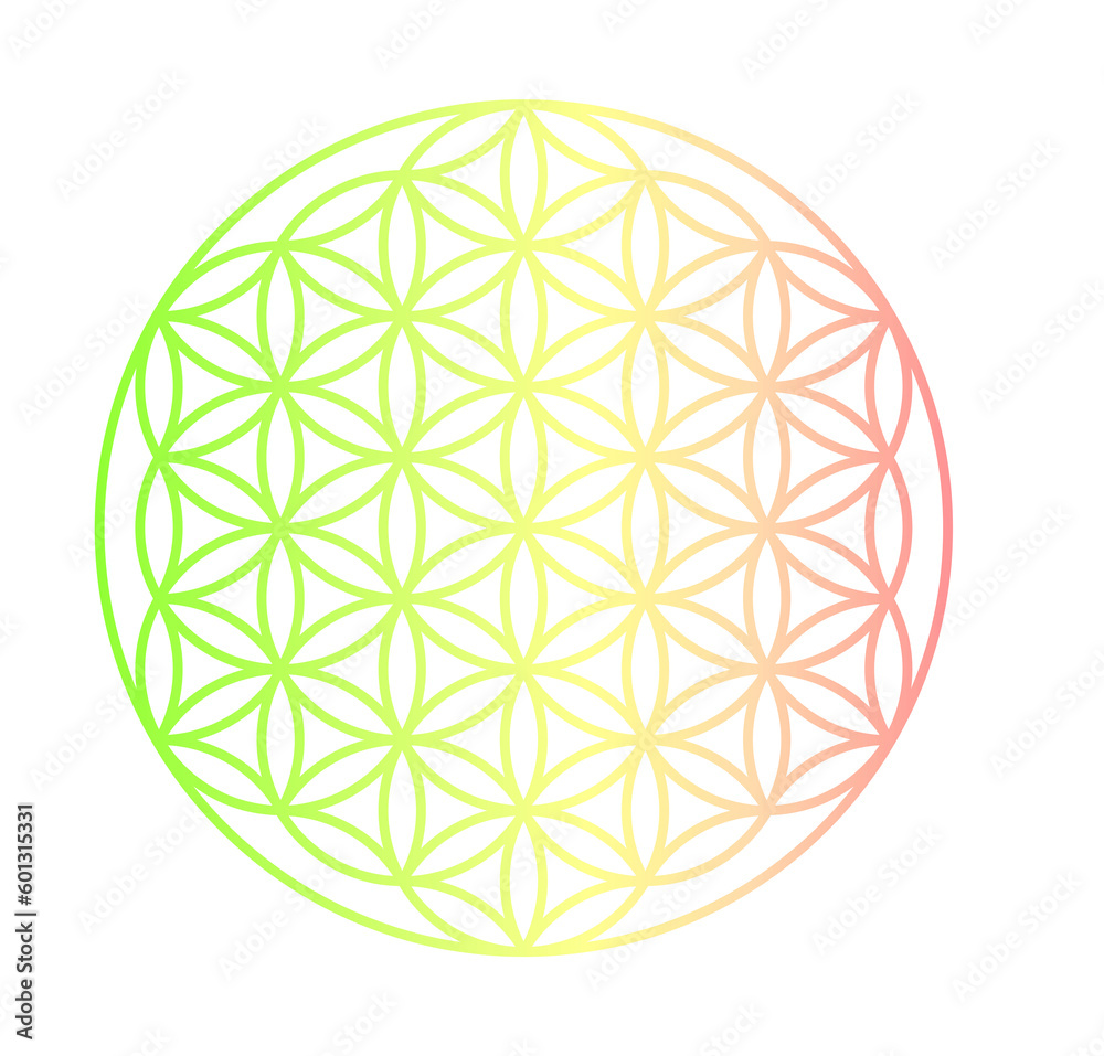 flower of life gradient, manifest, journal, wellness, gratitude journal, spiritual, isolated, ready to print flower of life gradient, manifest, journal, wellness, gratitude journal, spiritual, isolated, ready to print