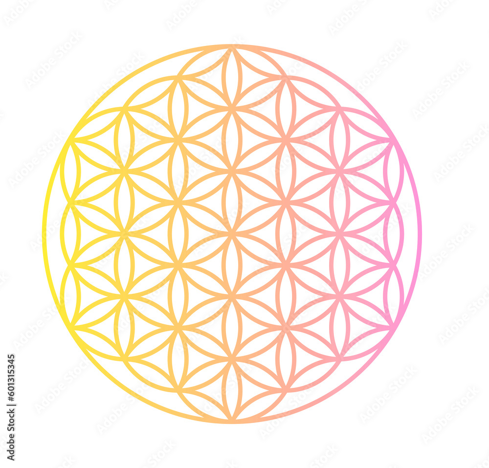 flower of life gradient, manifest, journal, wellness, gratitude journal, spiritual, isolated, ready to print flower of life gradient, manifest, journal, wellness, gratitude journal, spiritual, isolated, ready to print