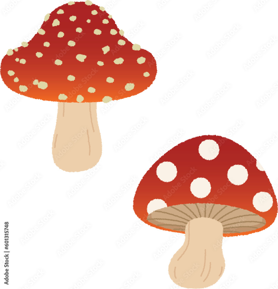 きのこのイラスト きのこのイラスト