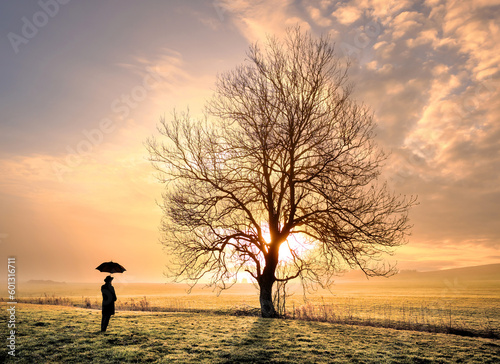Canvastavla Tree in the light, Man with umbrella, beautiful dream, god speaks, god is the li