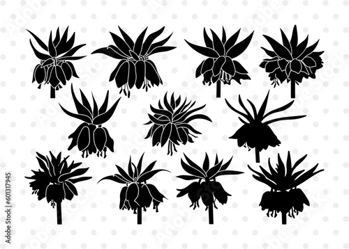 Crown Imperial Flower Silhouette SVG Bundle | Fritillaria Imperialis Black Floral Clipart | Spring Flower Vector | Botanical Graphic Design Elements