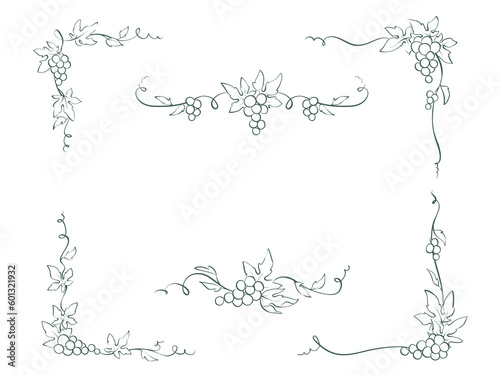 Set of design elements with vine. Vector graphic illustration, corners and frames for wine label design