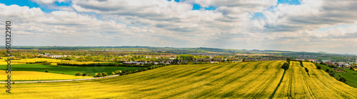 yellow fields of rapeseed against the blue sky with white clouds