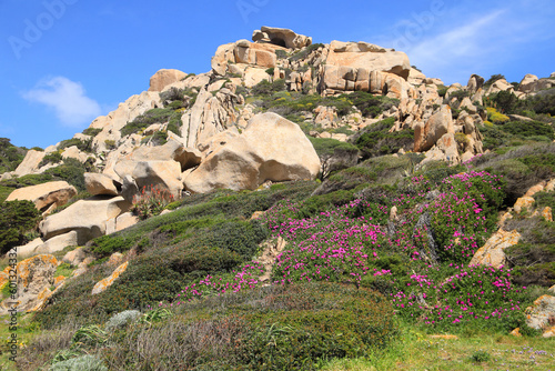 The granite formation in Capo testa - the valley of the moon in spring, Sardinia